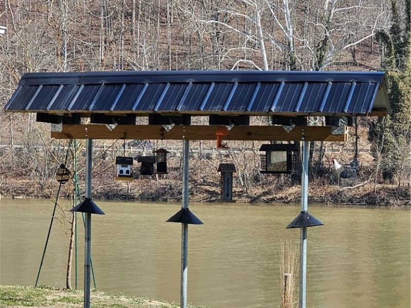 2524 Sycamore Lane, Stockport, OH 43787 Photo 40