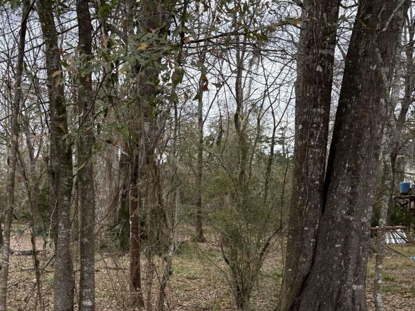 TBD Amite River Rd, Baton Rouge, LA 70817