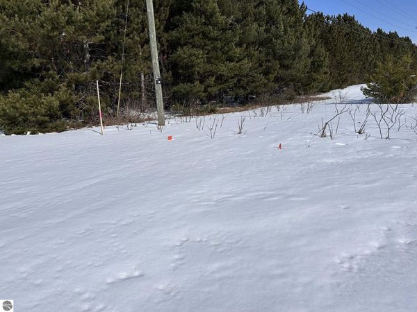 Honor Highway, Interlochen, MI 49643