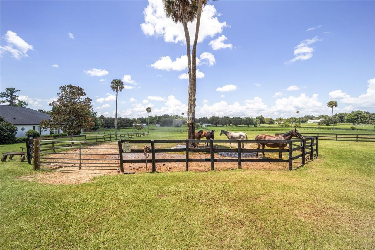 7137 & 7141 S Magnolia Avenue, Ocala, FL 34476 Photo
