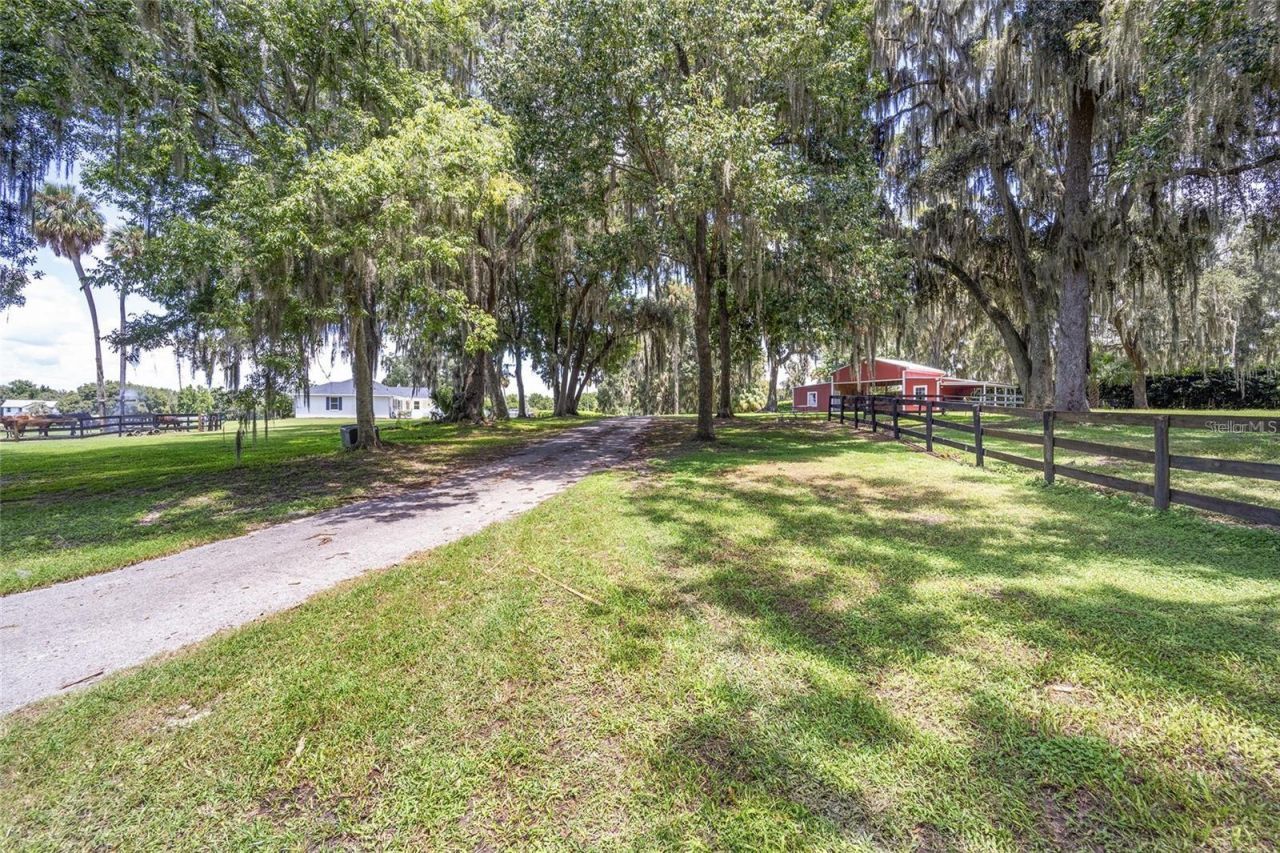 7137 & 7141 S Magnolia Avenue, Ocala, FL 34476 Photo