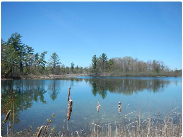 10345 Morgan Mills Avenue NE, Greenville, MI 48838