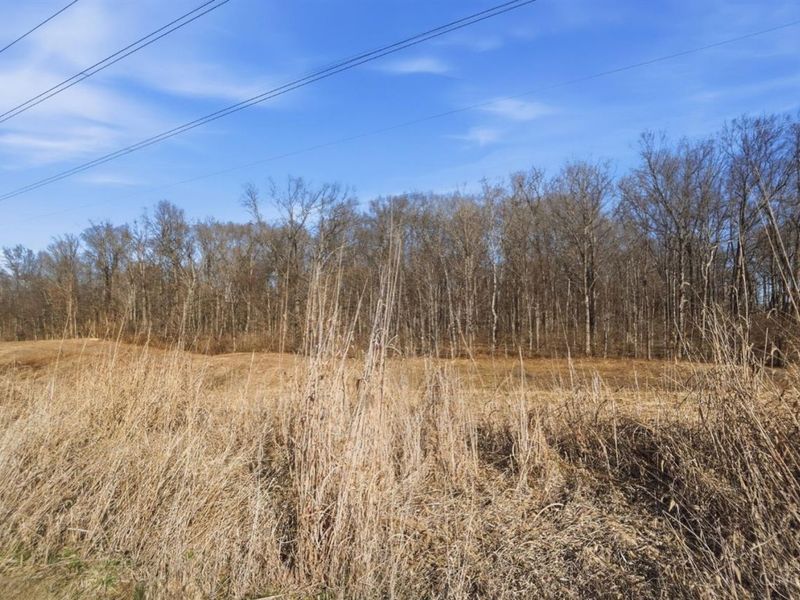 3292 Shadow Ridge, Morrow, OH 45152 Photo 67