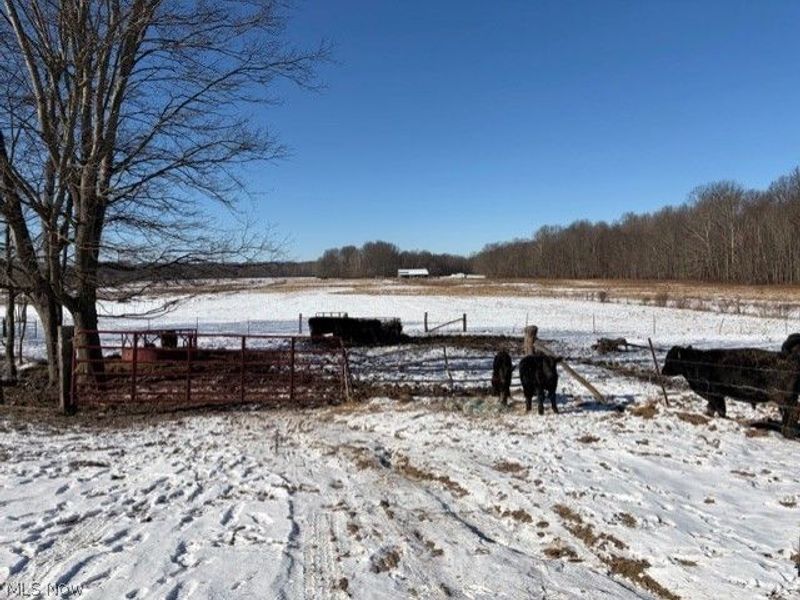 540 Flagdale Road S, Junction City, OH 43748 Photo 22