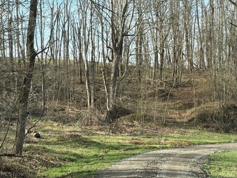 540 Flagdale Road S, Junction City, OH 43748 Photo 22