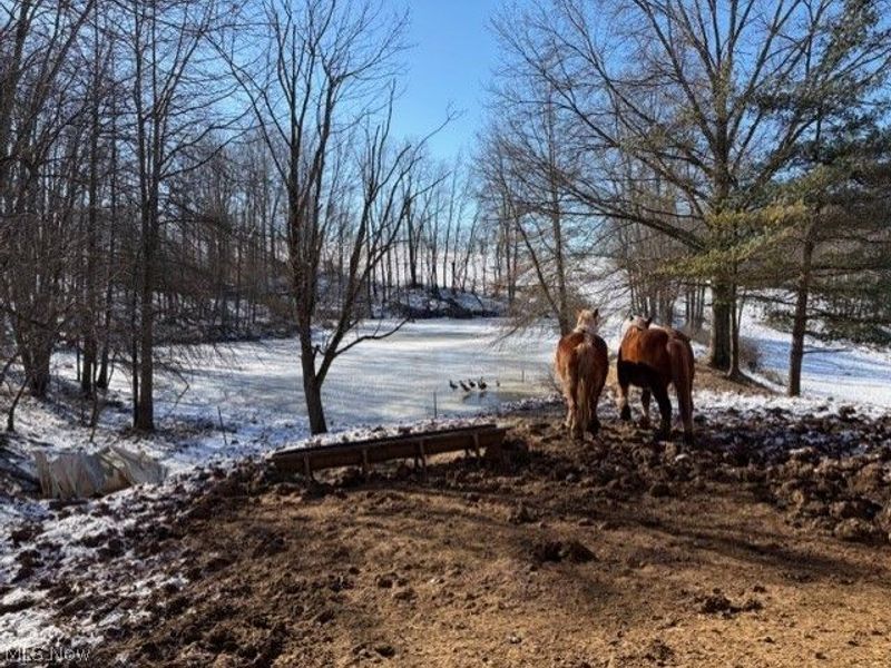 540 Flagdale Road S, Junction City, OH 43748 Photo 5