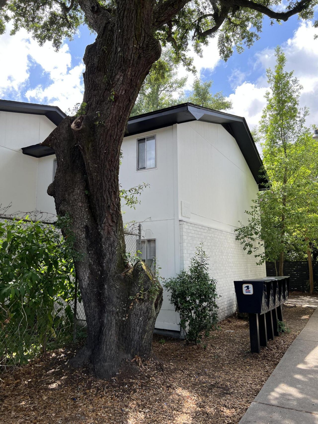 3360 Apache Street Photo 36