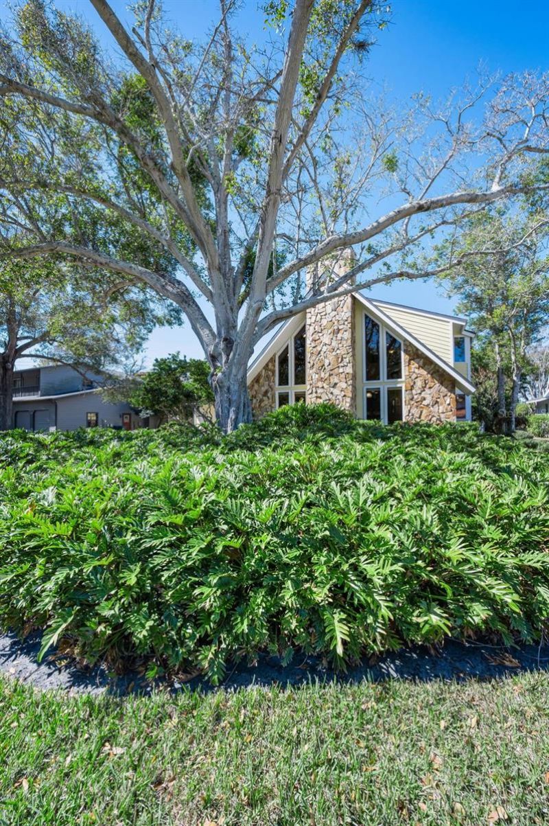 1944 Levine Lane, Clearwater, FL 33760 Photo