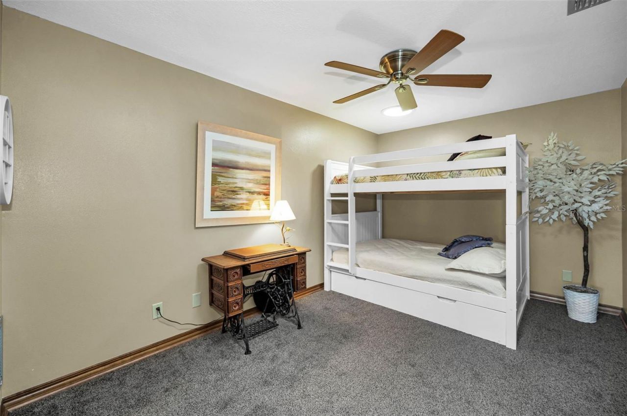 1944 Levine Lane, Clearwater, FL 33760 Photo