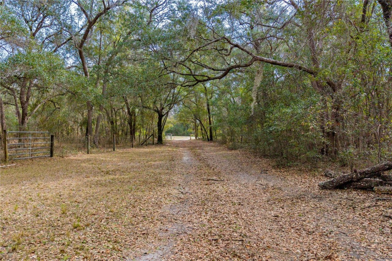 19514 N County Road 225 , Gainesville, FL 32609 Photo