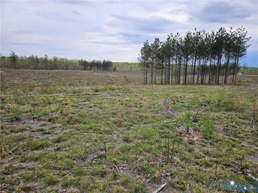 14.862 Acres Prince Edward Highway, Rice, VA 23966