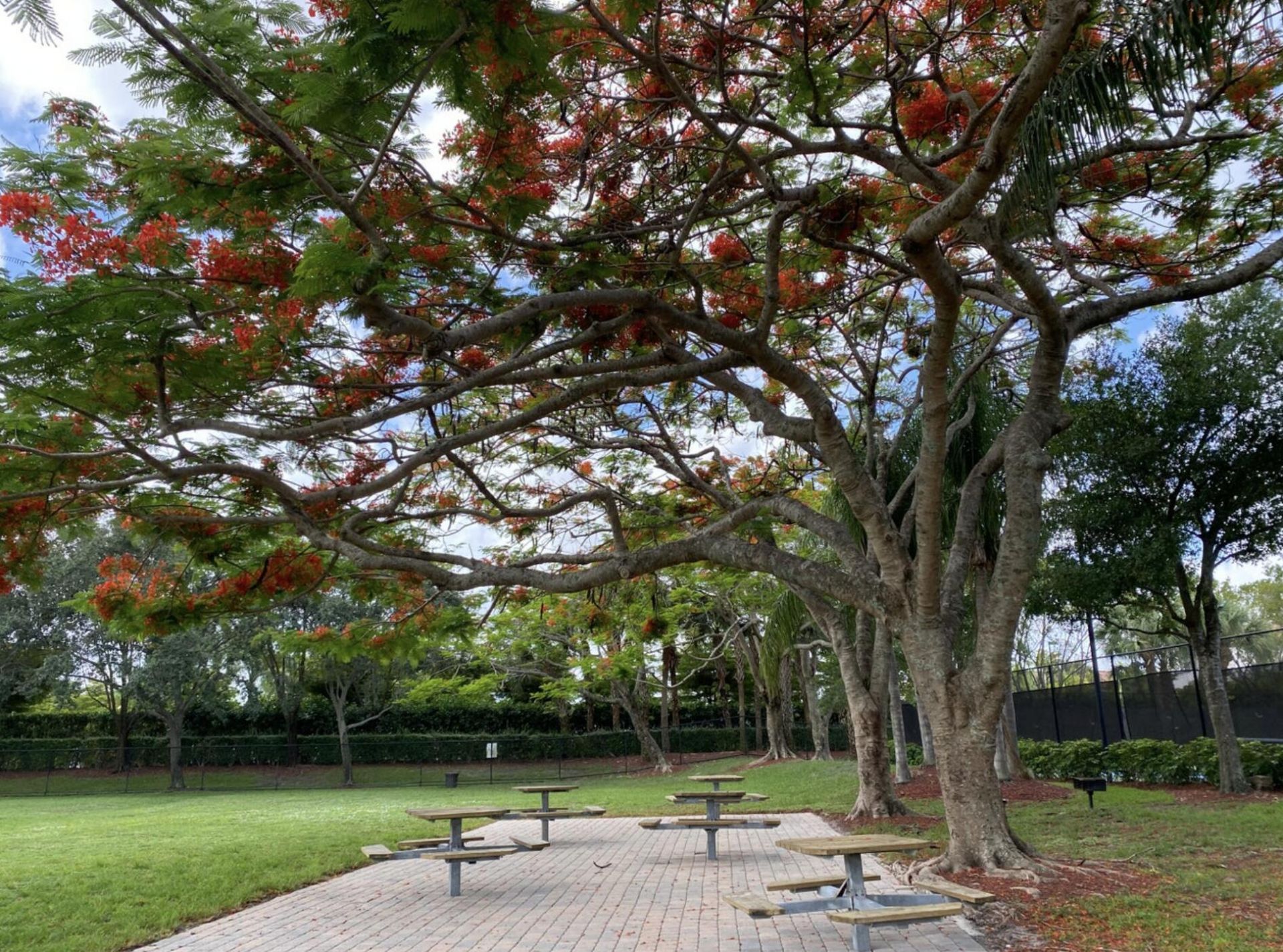 333 Berenger Walk, Royal Palm Beach, FL 33414 Photo