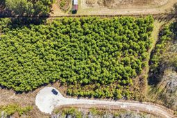 Tbd Lot 3 Old Reaves Ferry Rd.  photo 4