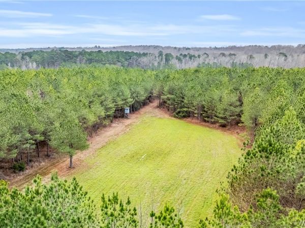 000 County rd 12, Carrollton, AL 35447