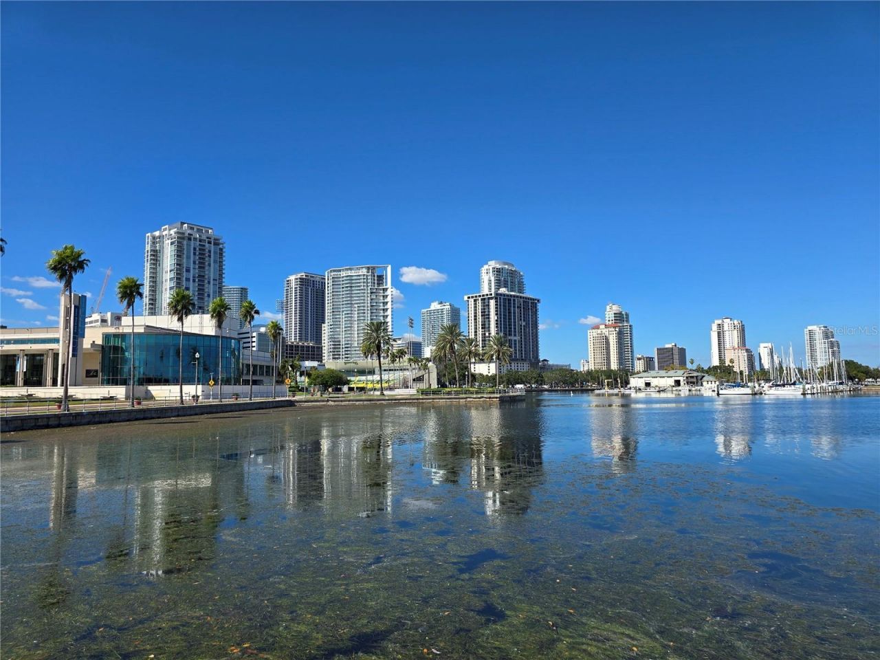 4403 43rd Street N, Saint Petersburg, FL 33714 Photo