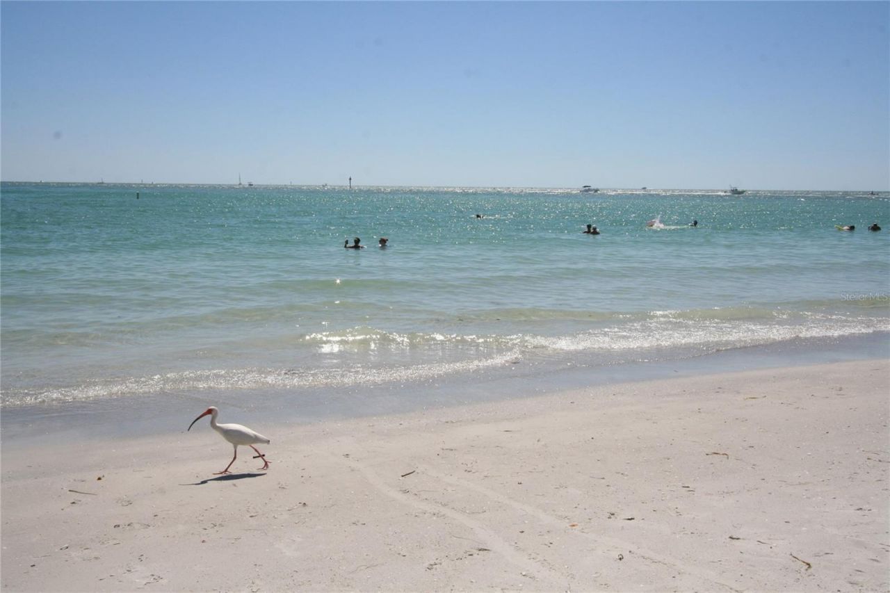 4403 43rd Street N, Saint Petersburg, FL 33714 Photo