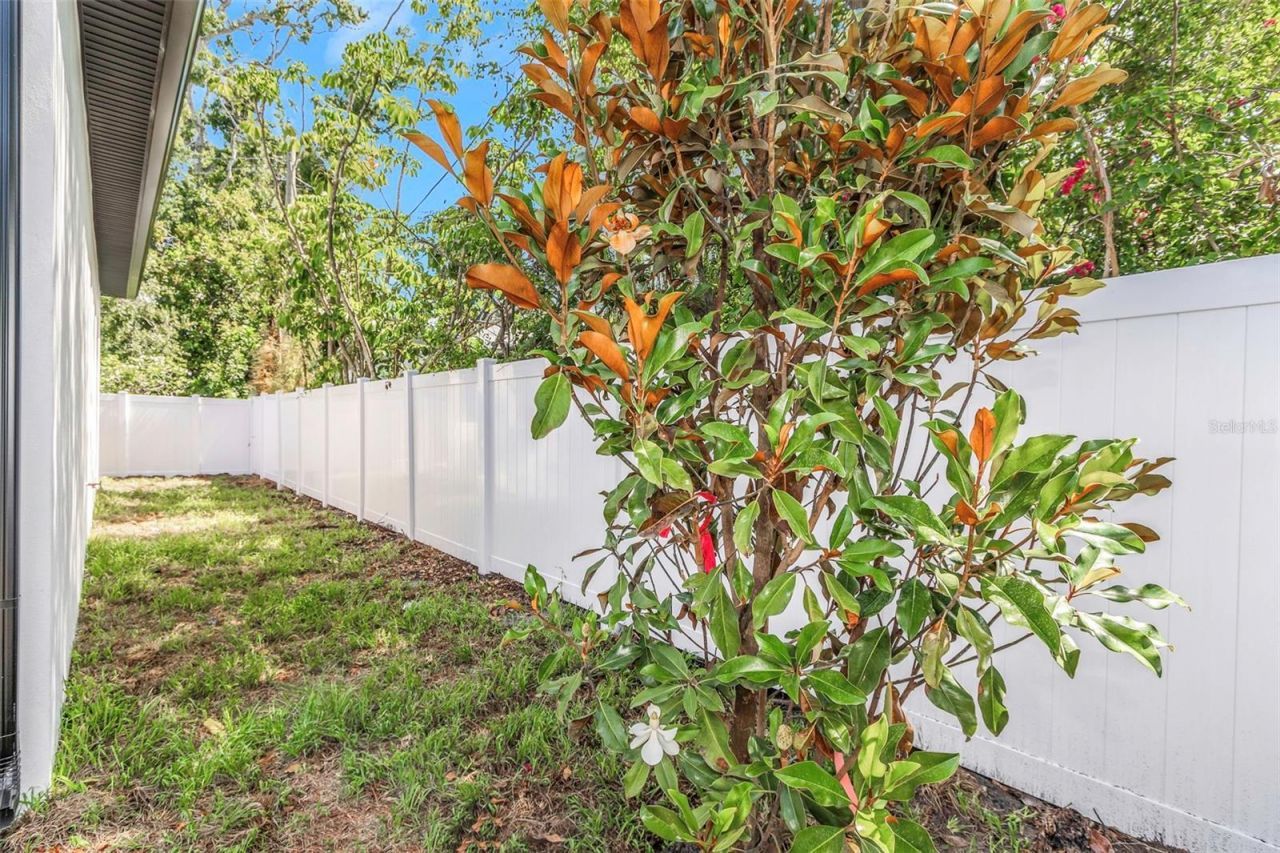 4403 43rd Street N, Saint Petersburg, FL 33714 Photo