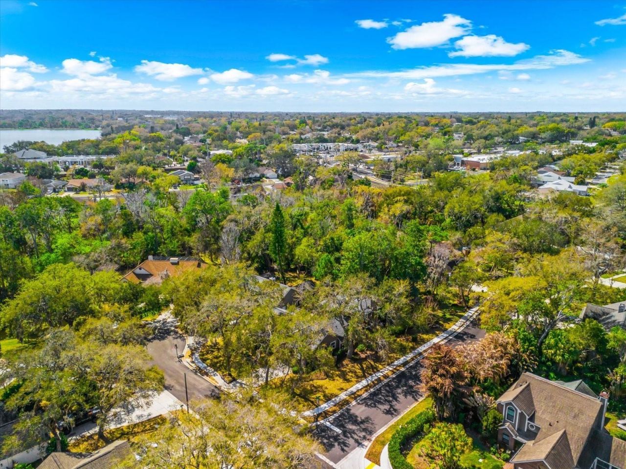 344 Cascade Lane, Palm Harbor, FL 34684 Photo