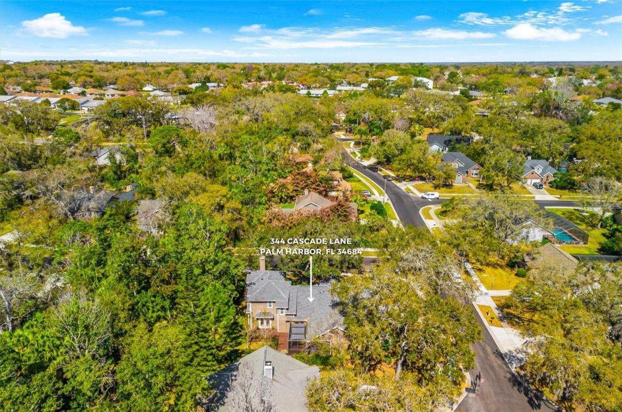 344 Cascade Lane , Palm Harbor, FL 34684 Photo