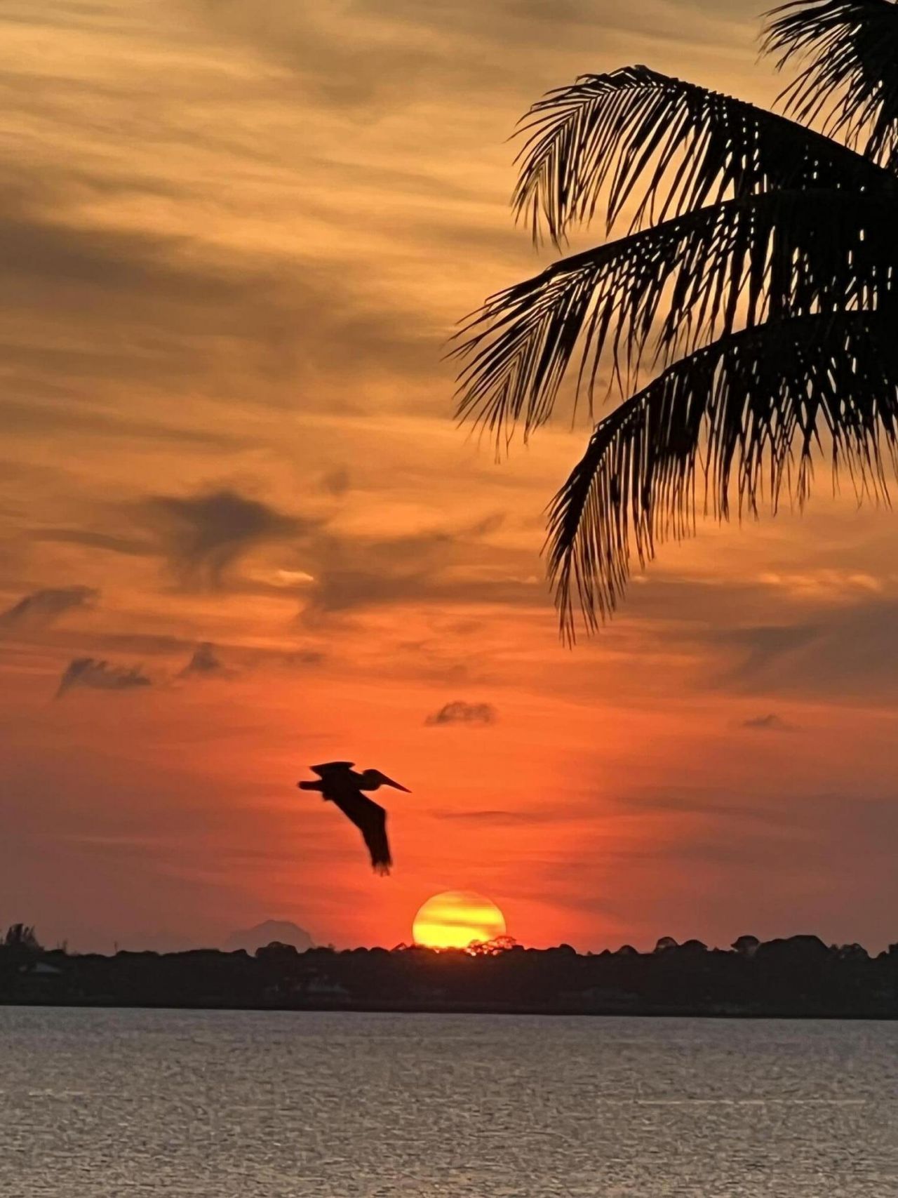 10751 S Ocean Dr, Unit B2, Jensen Beach, FL 34957 Photo