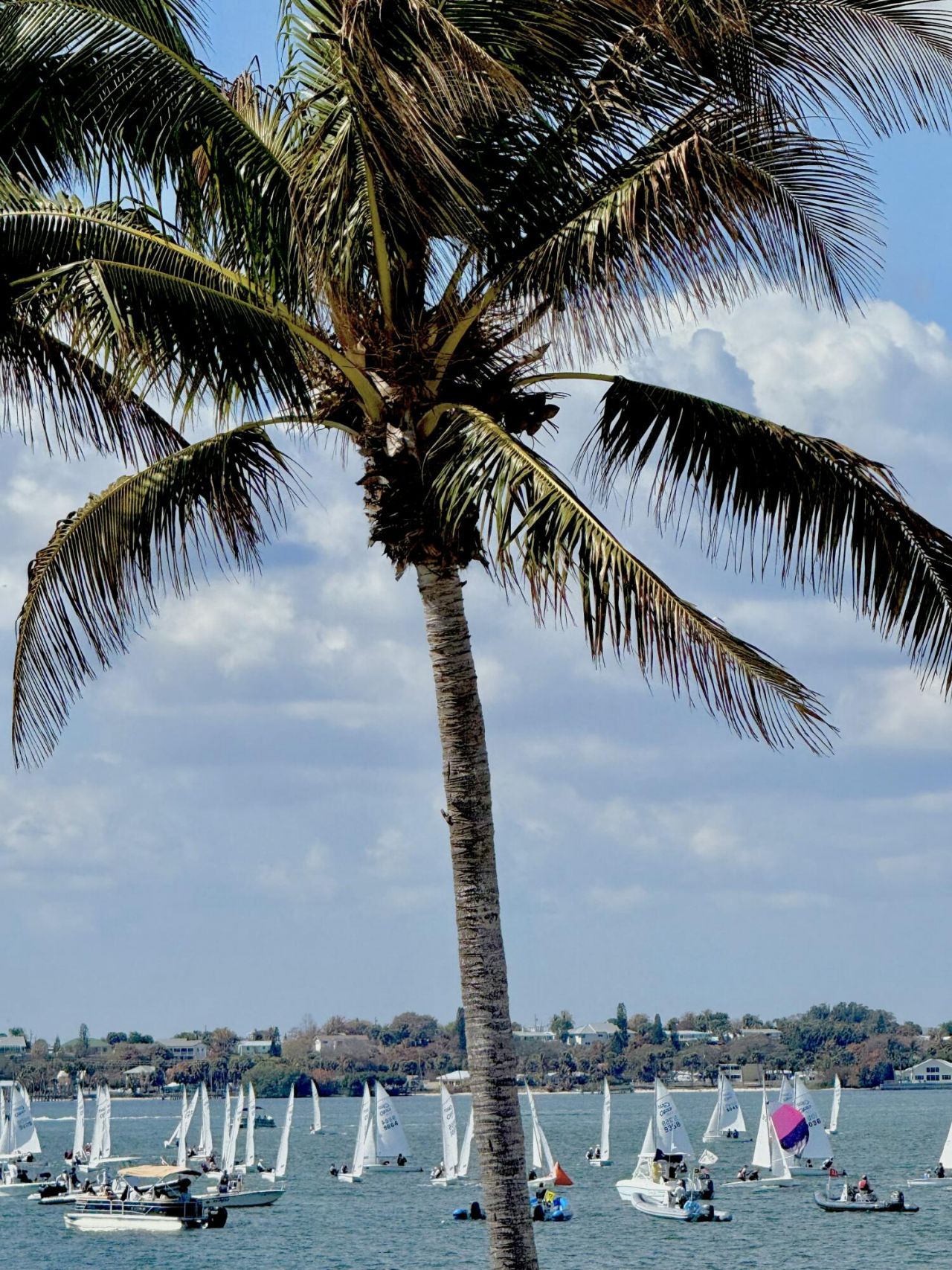 10751 S Ocean Dr, Unit B2, Jensen Beach, FL 34957 Photo