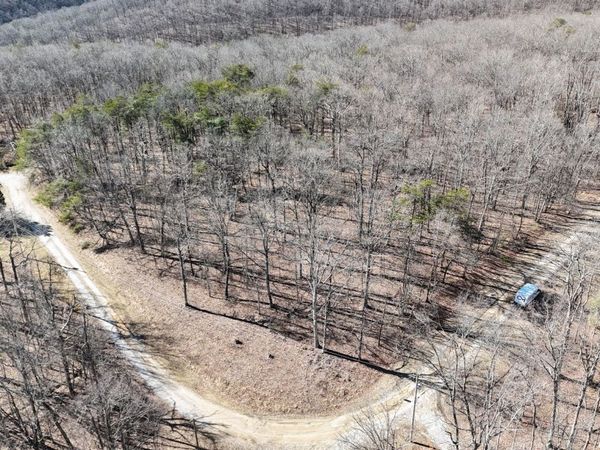 0 Running Deer , Crab Orchard, TN 37723