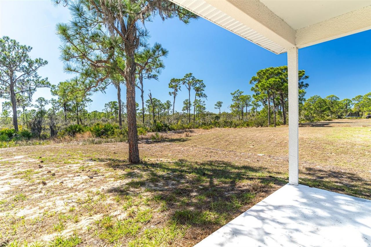 1413 Bittersweet Street, Lake Placid, FL 33852 Photo