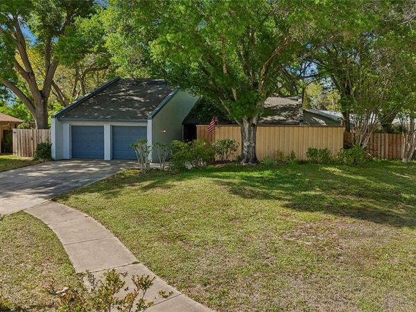 4438 SUMMER OAK DRIVE, TAMPA, FL 33618