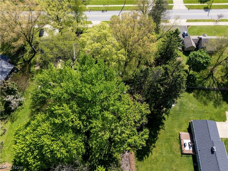2874 Melrose Drive, Wooster, OH 44691 Photo 28