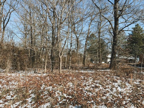000 Ginger Lot 9 Drive, West Plains, MO 65775