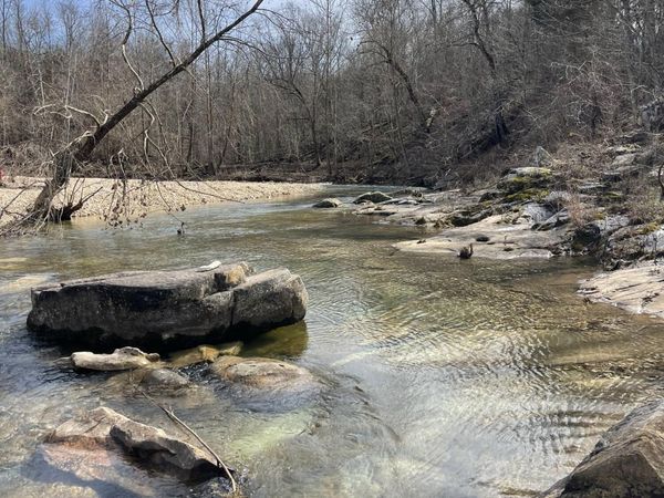 Tract 1 County Road 14-534, Ava, MO 65608
