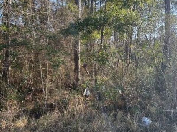 Petunia Road, Gautier, MS 39553