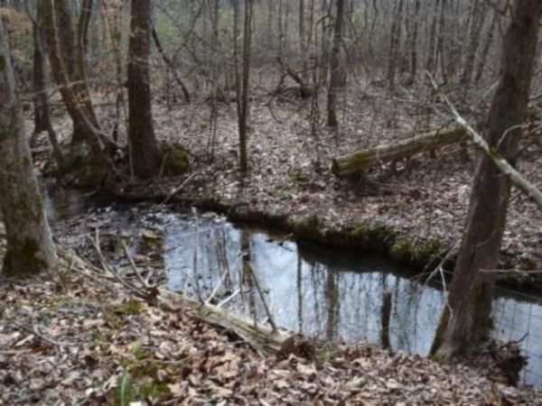 87+/-ac Boles Rd, Hilham, TN 38568