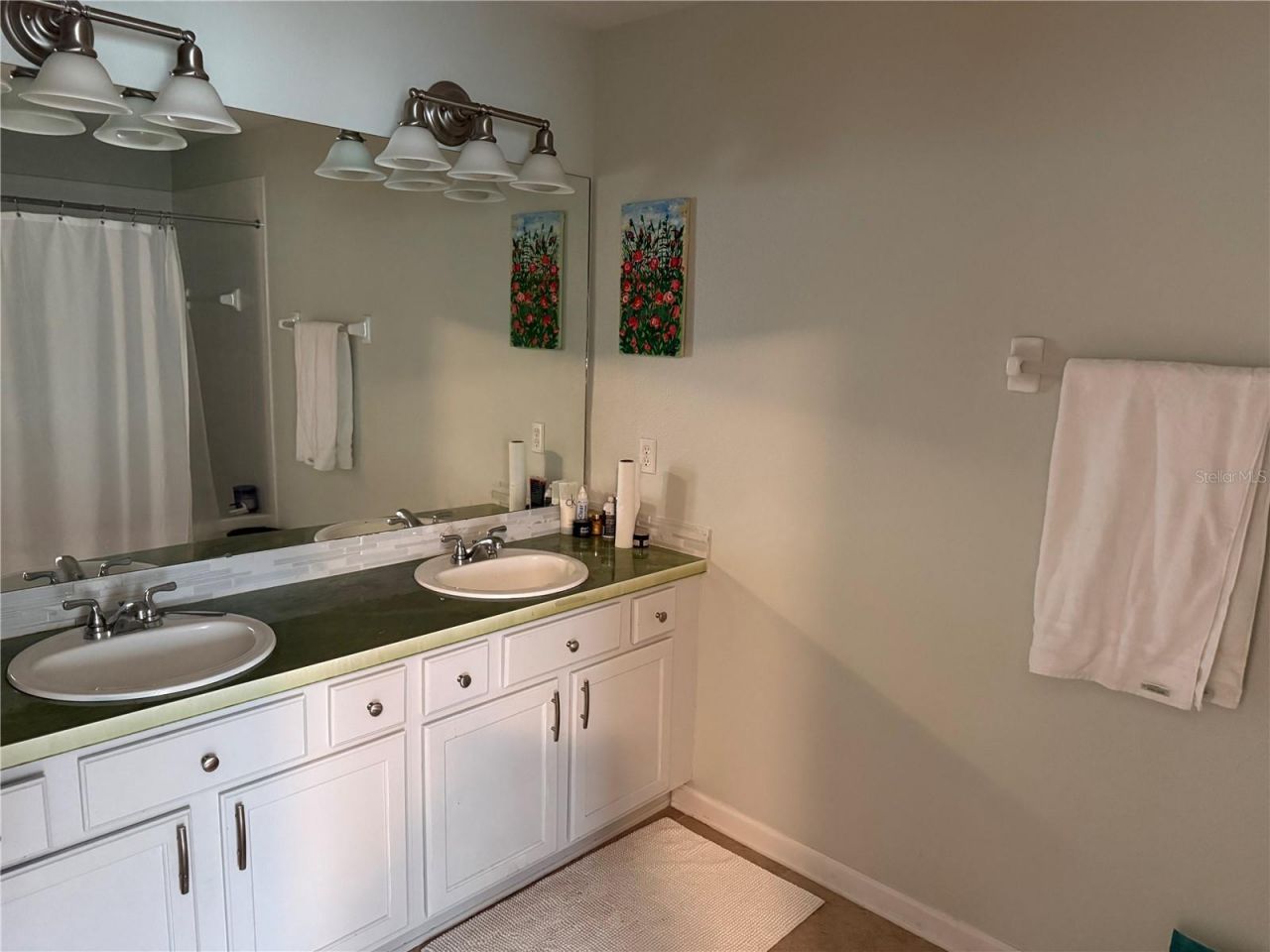 26612 Chimney Spire Lane, Wesley Chapel, FL 33544 Photo