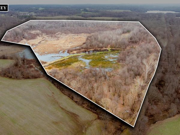 320 Durid Lane , Paris, TN 38242