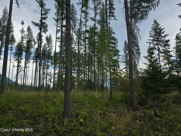 NNA WESTSIDE RD PARCEL 12, Bonners Ferry, ID 83805