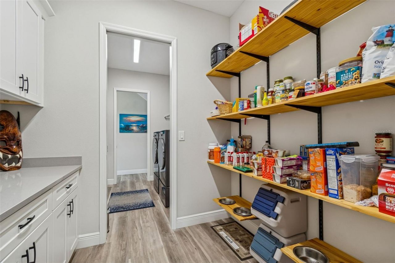 1516 Grandview Drive, Tarpon Springs, FL 34689 Photo