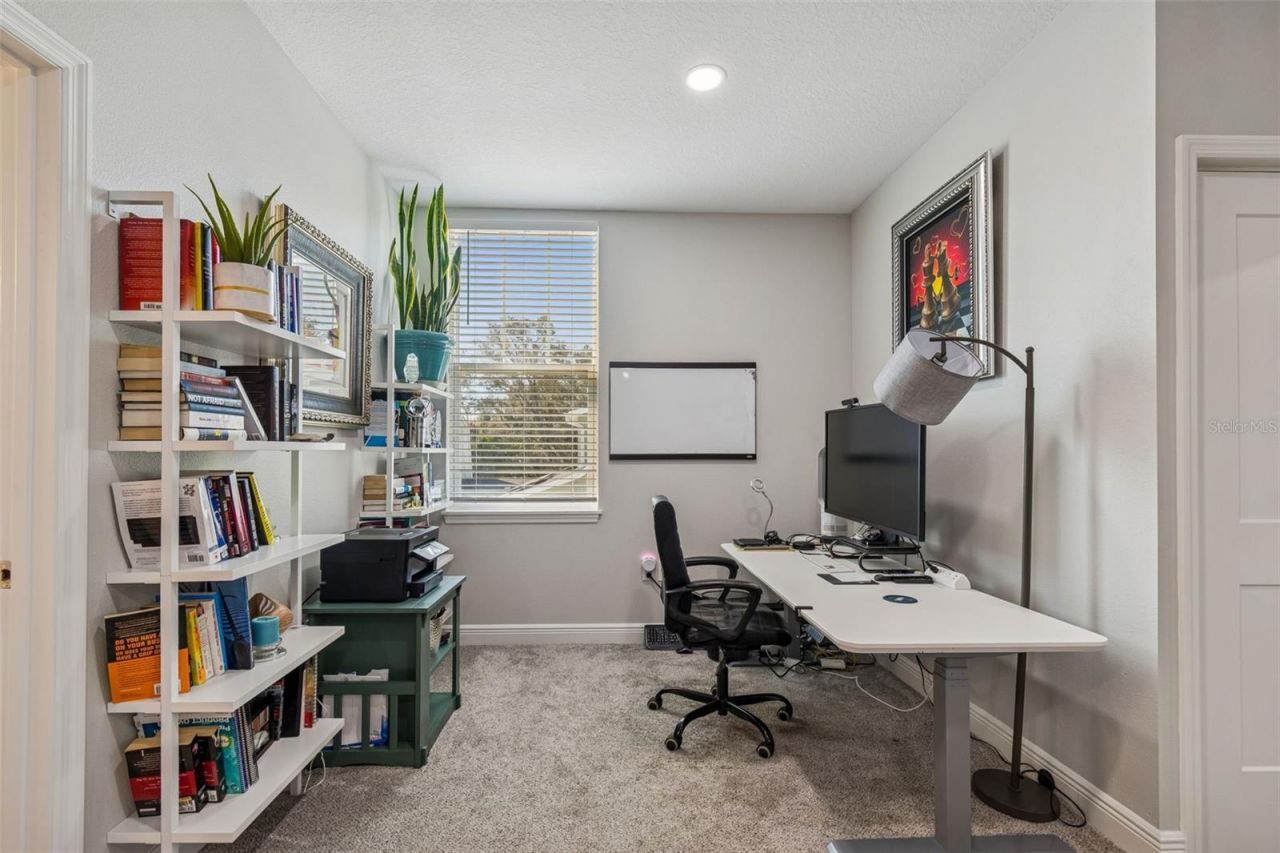 1516 Grandview Drive, Tarpon Springs, FL 34689 Photo