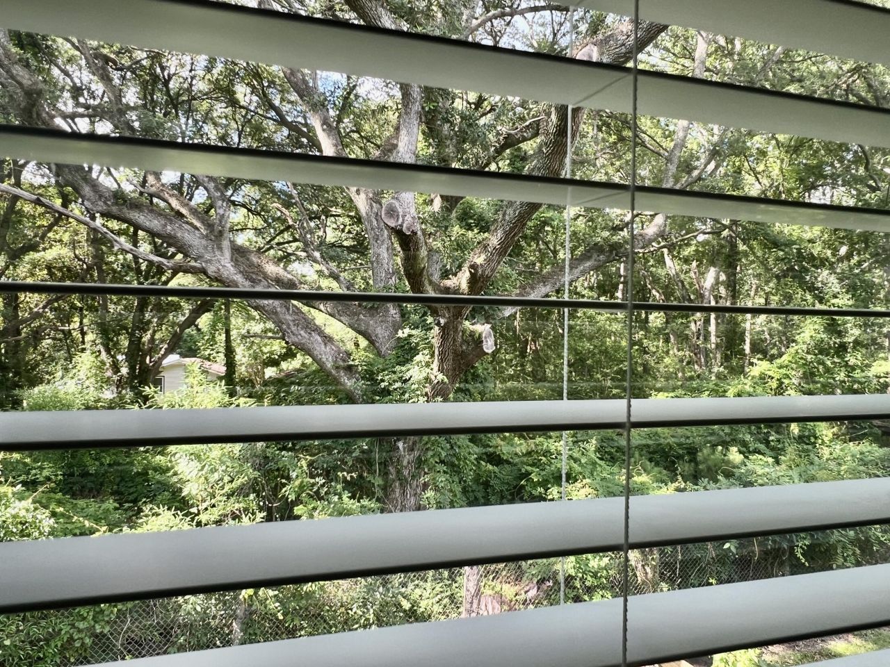 109 Rosefield Court Photo 26