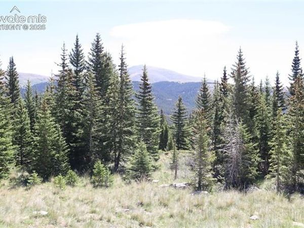 1480 Roberts Road, Fairplay, CO 80440