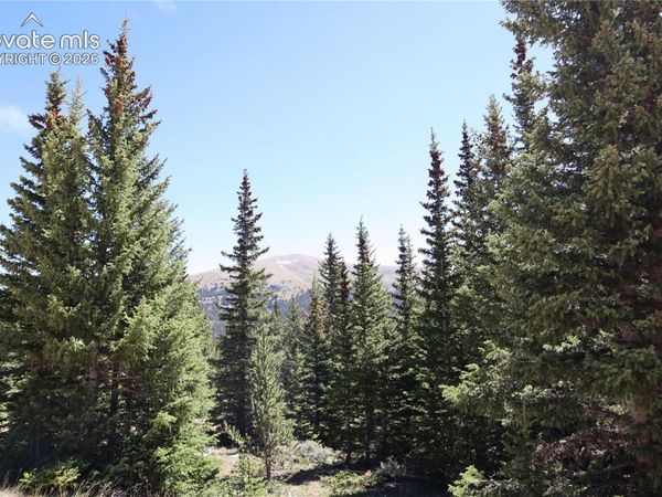 1480 Roberts Road, Fairplay, CO 80440