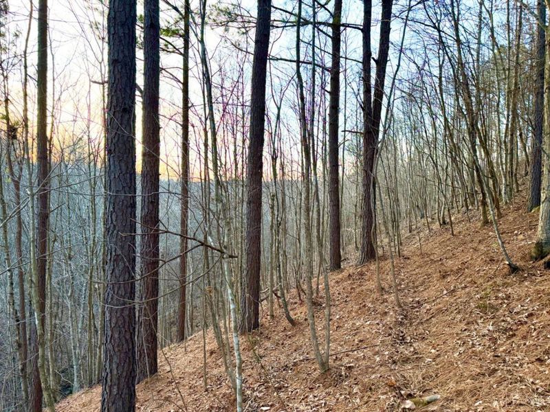 0 St Rt 139, Madison Twp, OH 45653 Photo 19