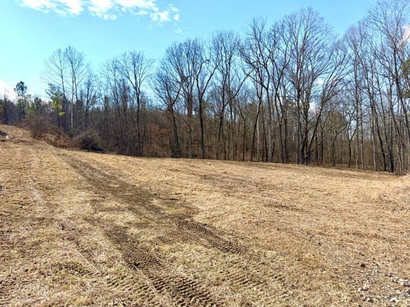 0 St Rt 139, Madison Twp, OH 45653 Photo 2