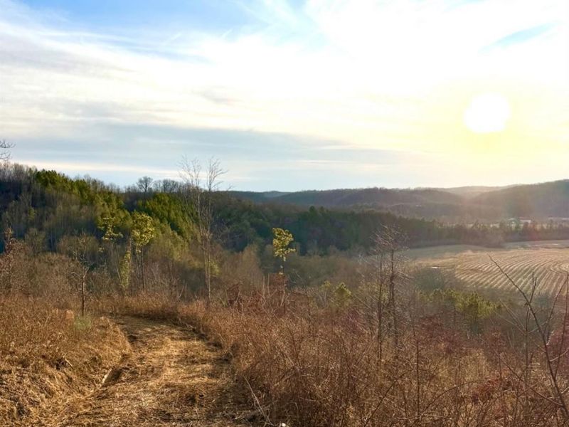 0 St Rt 139, Madison Twp, OH 45653 Photo 20