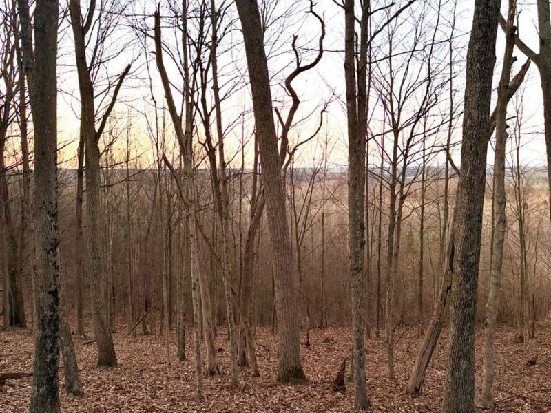 0 St Rt 139, Madison Twp, OH 45653 Photo 23