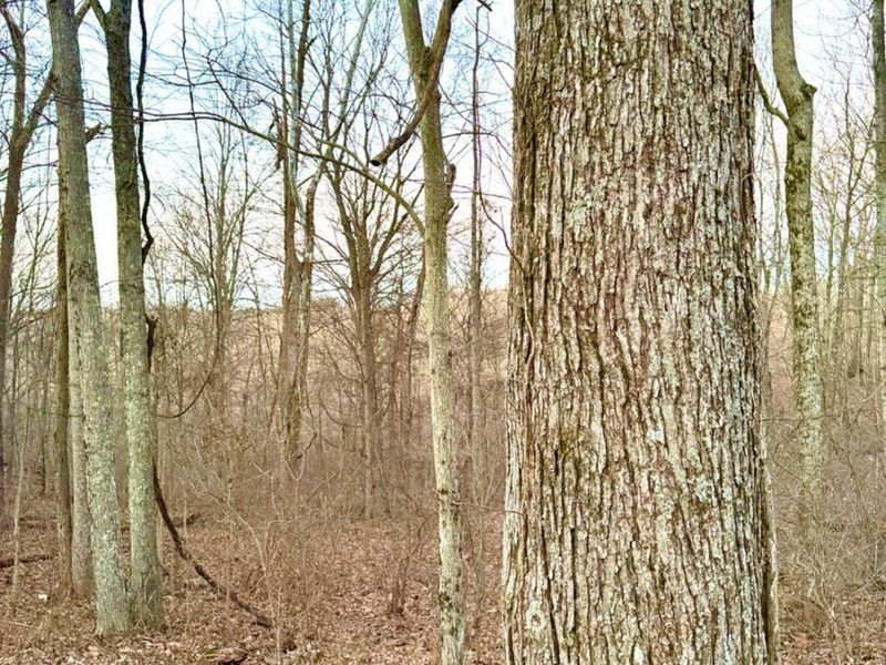 0 St Rt 139, Madison Twp, OH 45653 Photo 24