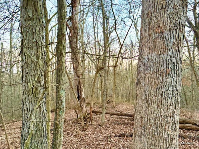 0 St Rt 139, Madison Twp, OH 45653 Photo 25