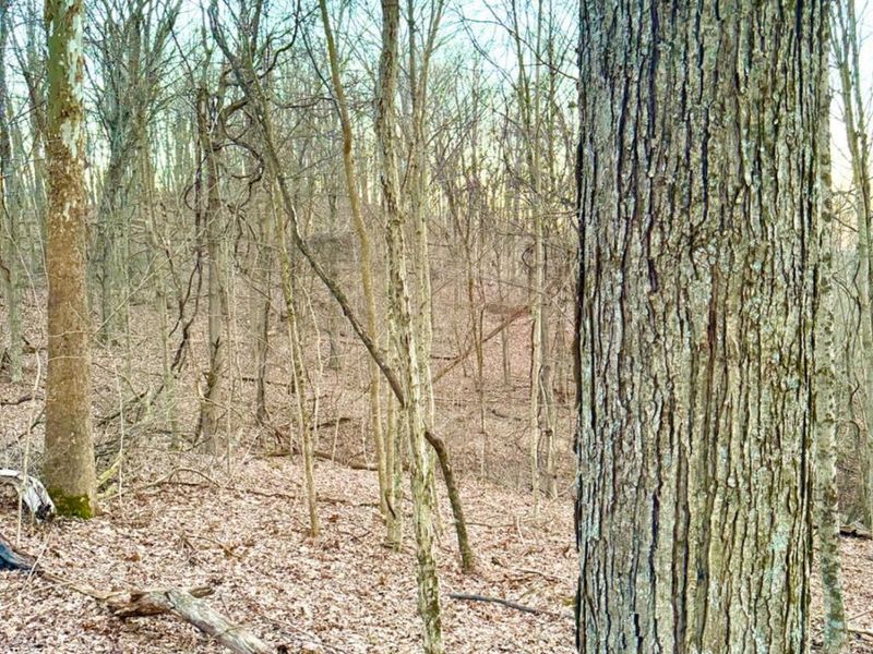 0 St Rt 139, Madison Twp, OH 45653 Photo 26