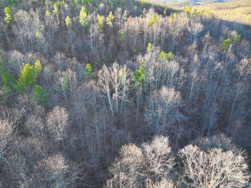 0 St Rt 139, Madison Twp, OH 45653 Photo 37