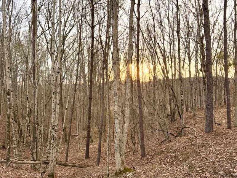 0 St Rt 139, Madison Twp, OH 45653 Photo 52